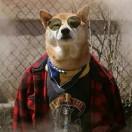 FOGGOT