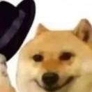 (⑅•͈ᴗ•͈).:*♡