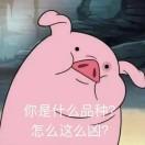 晚居
