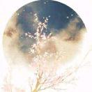 云卷云舒-云不雨