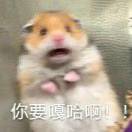 淑