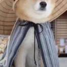 木头