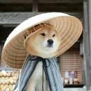 劳逸结合