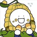 🌽🌽🌽🌽🌽🌽