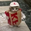 ポ