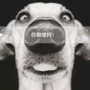 What！