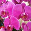 AA之梦悠闲