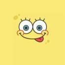 User354014963