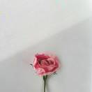 军