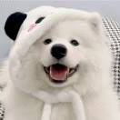 Tsuki