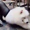 挽溪