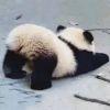 听我说姐妹们！远离男人！