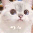 芽芽乐