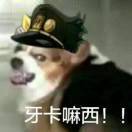 ku jo cat ta ro