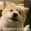 故里有长安