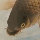 我的昵称七个字