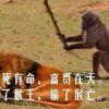 刘硕