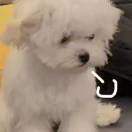 。