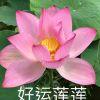 撤硕