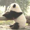 加班，打工人!