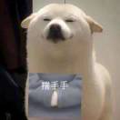 彭星河