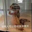 南初