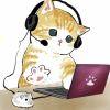 猫不二