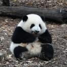 取什么名字好呢