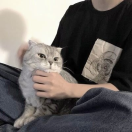 ㅤ龙