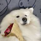💐