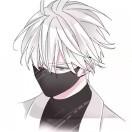 断雁归兮风