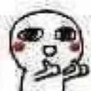 南梦无凰NMWH