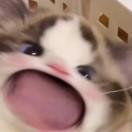 10.15