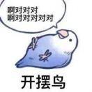 摆烂了但没有完全摆烂的屑摆烂