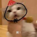 江毅🐱🇨🇳