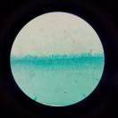 湛