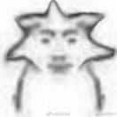 紫星星