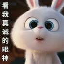 斌