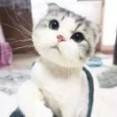 星辰