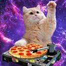爱吃披萨的猫