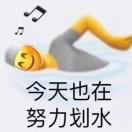 董智轩