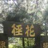 康帅傅