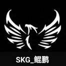 SKG -鲲鹏