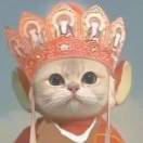 。