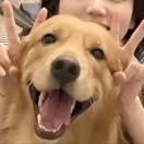 a雅