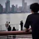 顾子栖