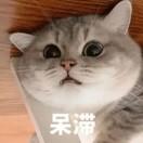种田的墨茉子