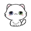 风玖