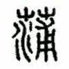 蒲