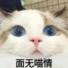 Lynn（伪）